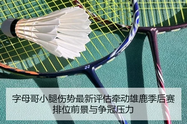 zi-mu-ge-xiao-tui-shang-shi-zui-xin-ping-gu-qian-dong-xiong-lu-ji-hou-sai-pai-wei-qian-jing-yu-zheng-guan-ya-li-2-284.jpg